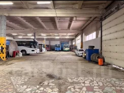 ����, ��� �������� ������� ����� �����. ���������. 1850��&sup2;, ����� �������� 5/3, �-� ���������� ����