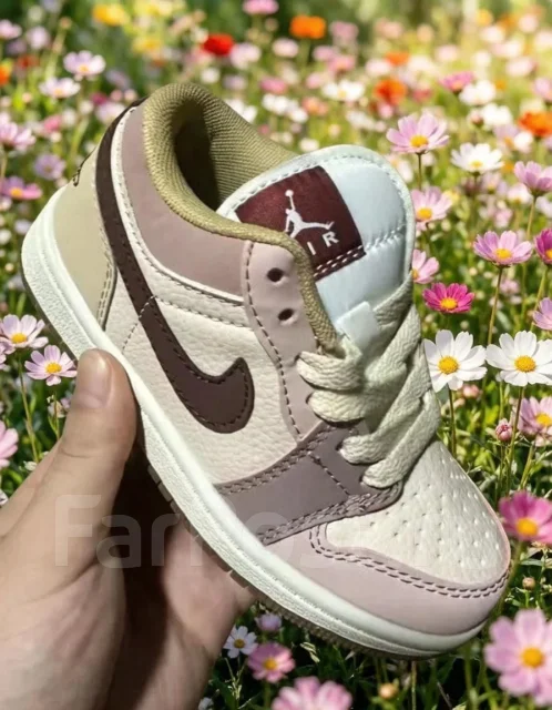 ���������. 29 ����
