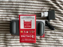 Nintendo Switch Lite ����