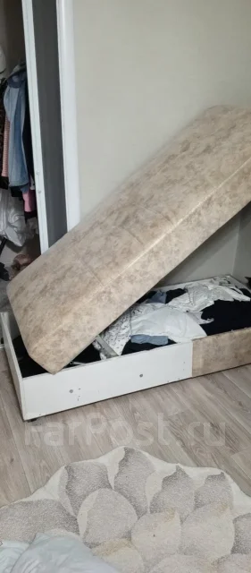 ����� ��������� ����