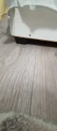 ����� ��������� �������� ����� ����
