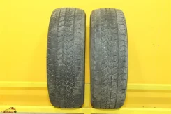 Doublestar DW02