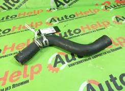 �������� ��������� Honda HR-V GH1, GH2, GH3, GH4 D16A 19501PEL000 19501PEL000 ����