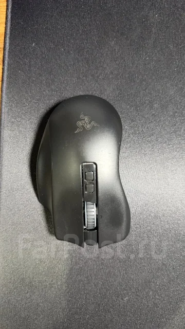 ���� �������. ����