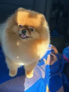 ����. ����