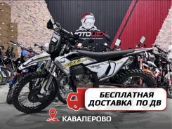 Regulmoto Legend Pro. 300����. ��., ��������, ���������, ��� ������� ����