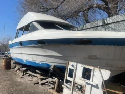 Bayliner ����