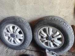 Honda. x15" ����