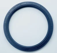 ������� ��������� ������ OEM Genuine Gasket B63011312 B63011312 ����