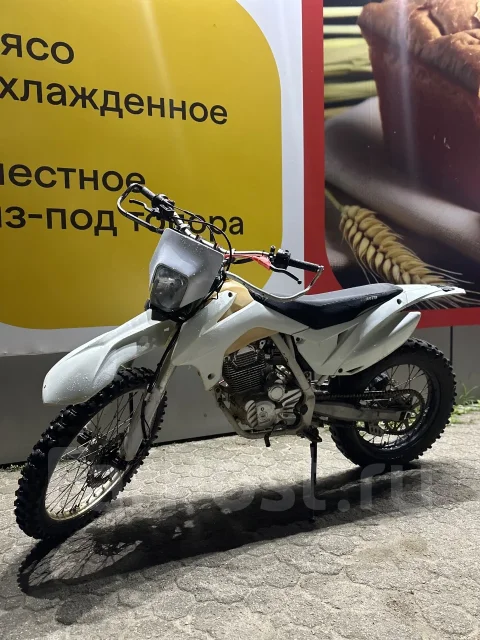 Avantis FX 250. 250����. ��., ��������, ���������, ��� ������� ����