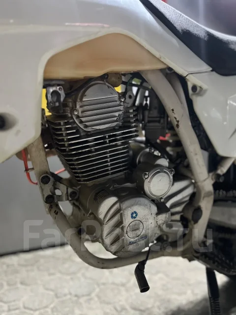 Avantis FX 250. 250����. ��., ��������, ���������, ��� ������� ����