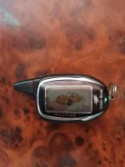 Jaguar. ����