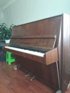 ����� ��������� ����