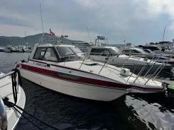 Nissan Suncat. ����� 8��., ��������� ���������, 250��.�., ������ ����