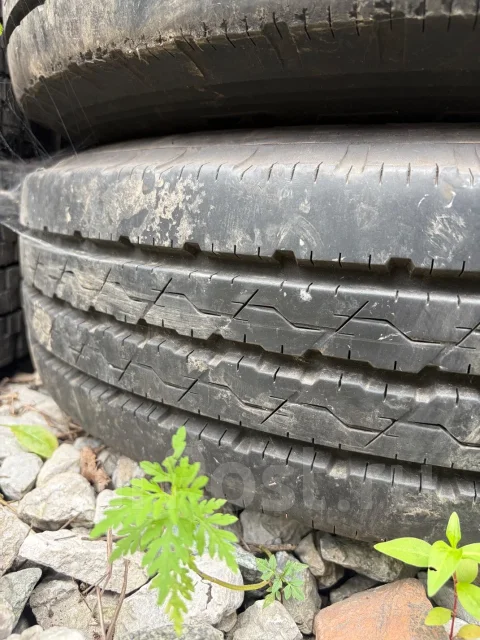 Bridgestone Ecopia R201. ������, 2018 ���, �/�, ����� 5 % ����