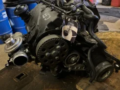 ������������ ��������� Volkswagen Bora 1997-2005 1999 v49 038NNN100098AX ��������� 1.9 AJM 038NNN100098AX ����