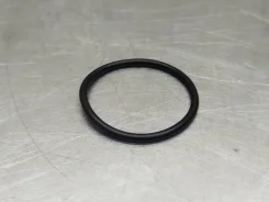 �����o ������������oe 100574545 100574545 ����