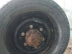���� ��������� ������ ����