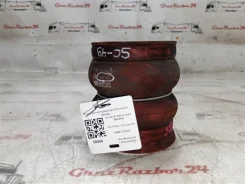 �������� ����������� Scania P 2019 2345957 440 DC13 153 L01 PDE 2345957 ����