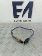 ������ ��������� (������-����) Porsche Cayenne 2004 95560613601 955 4.5, ������ 95560613601 ����
