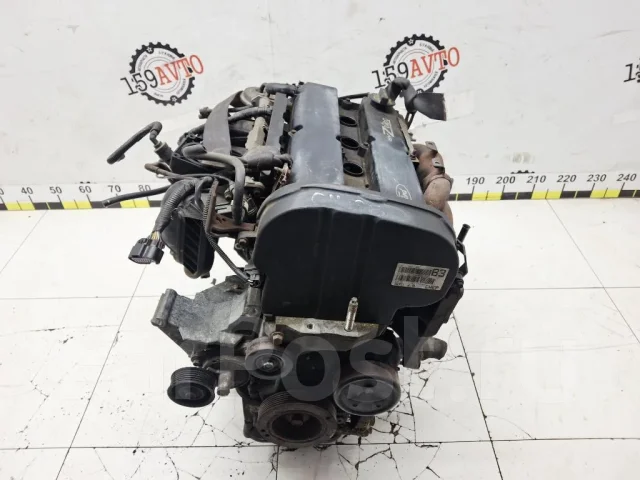 ��������� Ford Focus 1215904 1 EDDB 1215904 ����