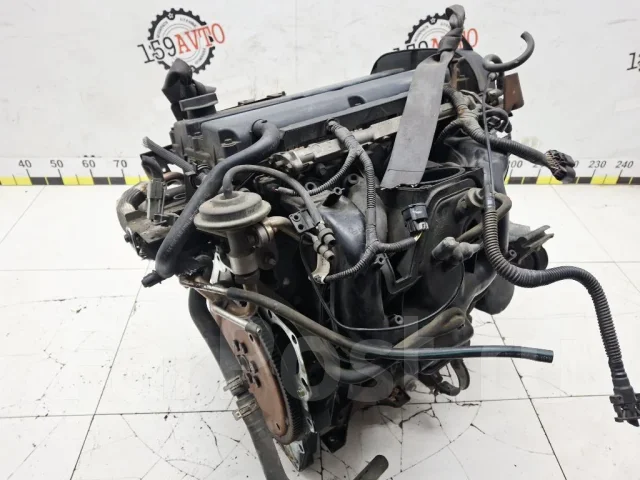 ��������� Ford Focus 1215904 1 EDDB 1215904 ����