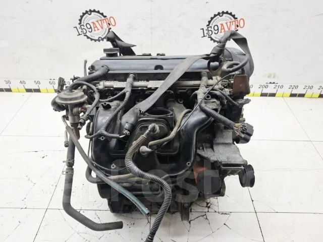 ��������� Ford Focus 1215904 1 EDDB 1215904 ����