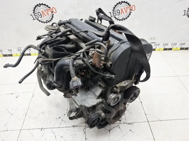 ��������� Ford Focus 1215904 1 EDDB 1215904 ����