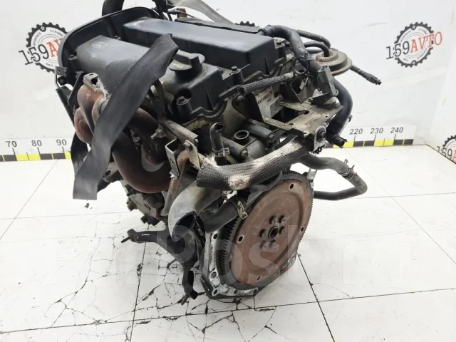 ��������� Ford Focus 1215904 1 EDDB 1215904 ����