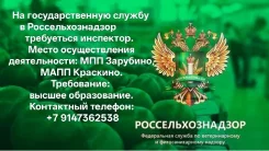 ���������. ���������� ��������������� ���������� �����������������. ��� ��������. ��� �������� ����