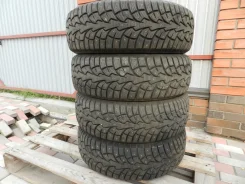 ZMax Winternova Stud I. ������, ����������, 2023 ���, �/�, ����� 5 % ����