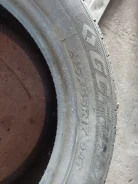 Goform. ������, ��� �����, 2024 ���, �/�, ����� 5 % ����