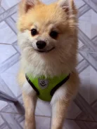 ����. ����
