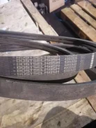 ������ 6201525 6201525 ����