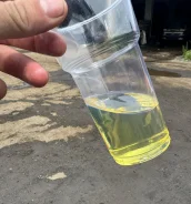 ��������� �������. ����