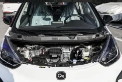 Chery little Ant ���� ����