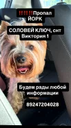 ����������� ������. ����