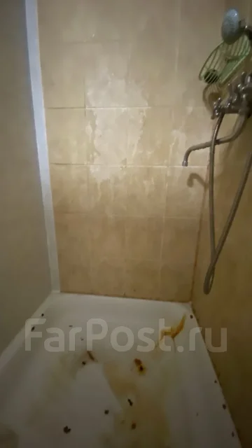 �������, ����� ������������� 30. ����, ���������, 12,5���.��., 3/6 ���� ����