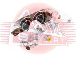 ������� ��������� �������� ASVA TYBC004 ����