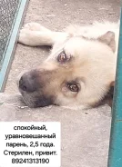 ������. ����