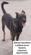 ������. ����