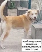 ������. ����