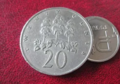 495 . ������ . 20 ������ 1969 � . . ����
