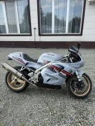 Triumph Daytona. 950����. ��., ��������, ���������, ��� ������� ����