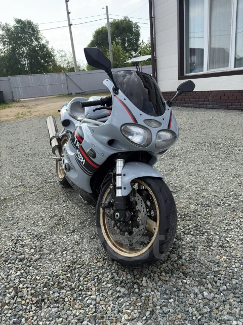 Triumph Daytona. 950����. ��., ��������, ���������, ��� ������� ����