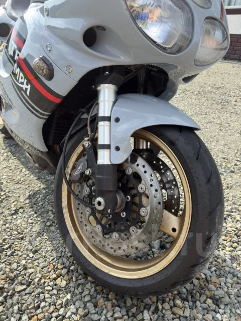 Triumph Daytona. 950����. ��., ��������, ���������, ��� ������� ����