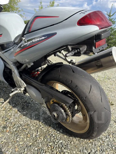 Triumph Daytona. 950����. ��., ��������, ���������, ��� ������� ����