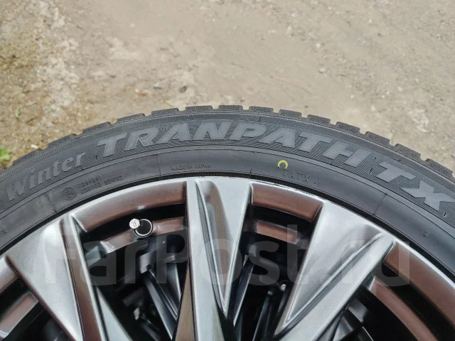Toyo Winter Tranpath TX. ������, ��� �����, 2025 ���, ����� ����