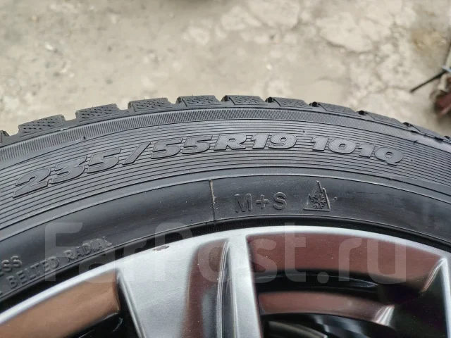 Toyo Winter Tranpath TX. ������, ��� �����, 2025 ���, ����� ����