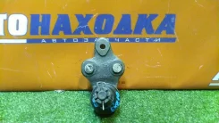 ������� ����� Toyota RAUM 4333019085 EXZ10 5E-FE, �������� [70789] 4333019085 ����